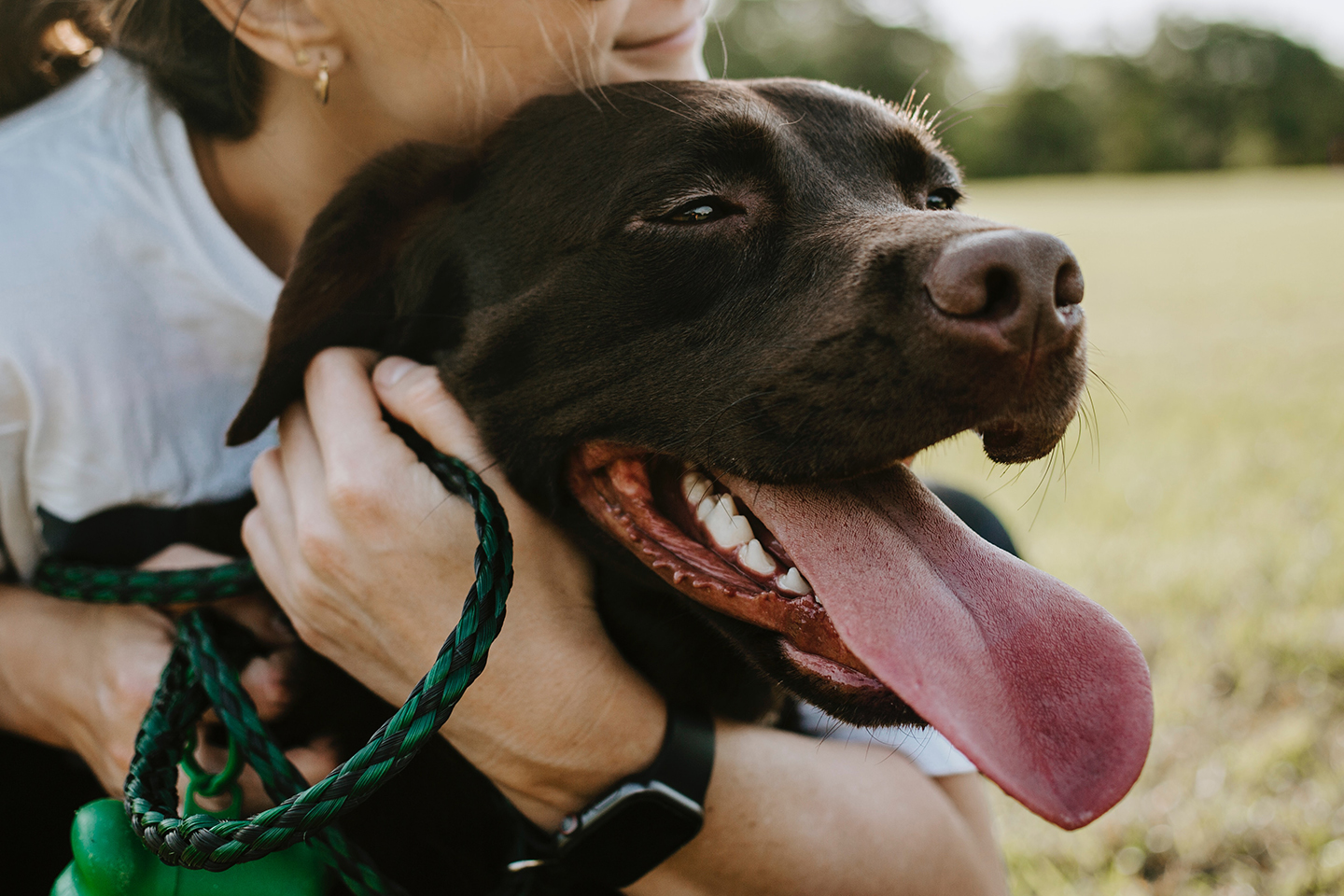 Mujer abraza perro marron